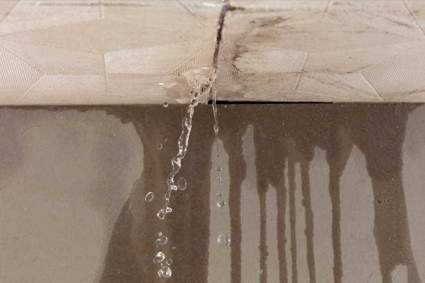Professional Water Damage Inspection technician working in Mitchell, SD